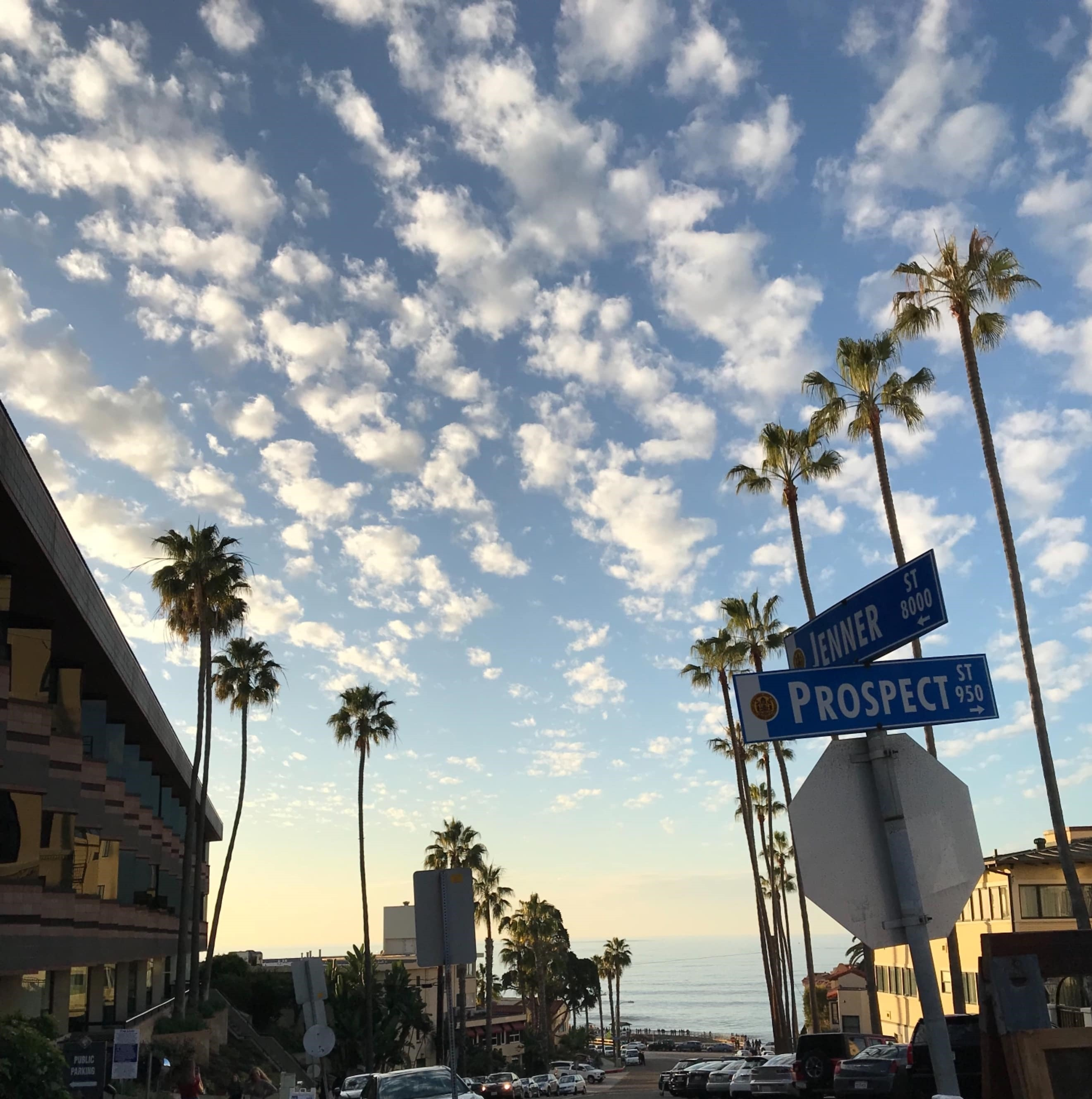 Venice Beach photo